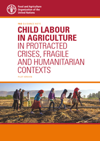 Child labour in agriculture in protracted crises, fragile and humanitarian contexts